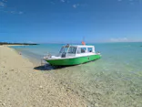 tome cruiseに投稿された画像（2026/8/30）