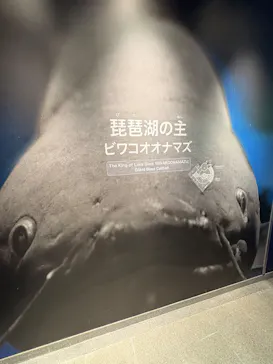 滋賀県立琵琶湖博物館に投稿された画像（2026/8/30）