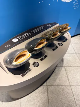 滋賀県立琵琶湖博物館に投稿された画像（2026/8/30）