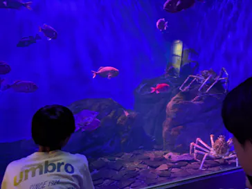 仙台うみの杜水族館に投稿された画像（2026/8/30）
