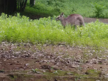 こども動物自然公園（埼玉県公園緑地協会）に投稿された画像（2026/8/30）