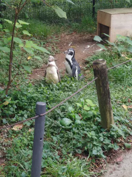 こども動物自然公園（埼玉県公園緑地協会）に投稿された画像（2026/8/30）