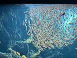 環境水族館アクアマリンふくしまに投稿された画像（2026/8/30）