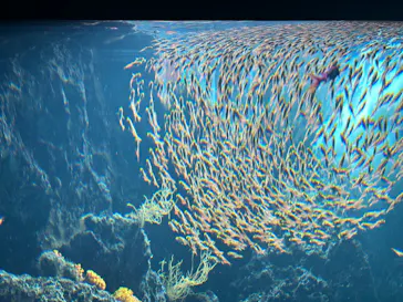 環境水族館アクアマリンふくしまに投稿された画像（2026/8/30）