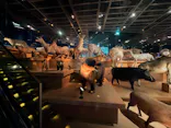 国立科学博物館に投稿された画像（2026/8/30）
