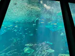 マリンワールド海の中道に投稿された画像（2026/8/30）