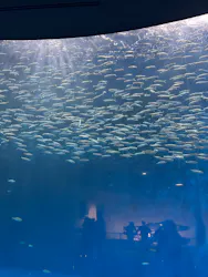 名古屋港水族館に投稿された画像（2026/8/30）