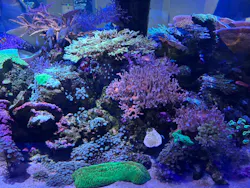 名古屋港水族館に投稿された画像（2026/8/30）