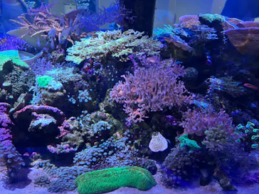 名古屋港水族館に投稿された画像（2026/8/30）