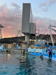 名古屋港水族館に投稿された画像（2026/8/30）
