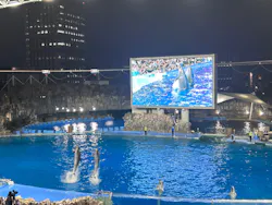 名古屋港水族館に投稿された画像（2026/8/30）
