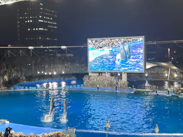 名古屋港水族館に投稿された画像（2026/8/30）