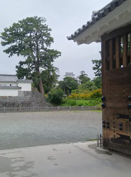 小田原城に投稿された画像（2026/8/30）