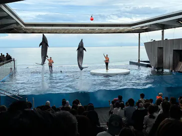 上越市立水族博物館 うみがたりに投稿された画像（2026/8/30）
