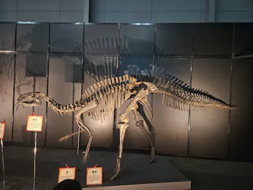 ヨコハマ恐竜展２０２６～恐竜の食卓大図鑑～に投稿された画像（2026/8/30）