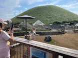 伊豆シャボテン動物公園に投稿された画像（2026/8/30）