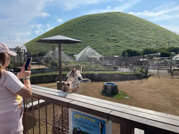 伊豆シャボテン動物公園に投稿された画像（2026/8/30）