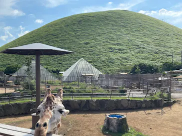 伊豆シャボテン動物公園に投稿された画像（2026/8/30）