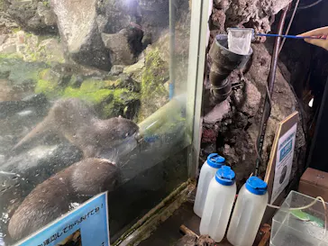伊豆シャボテン動物公園に投稿された画像（2026/8/30）