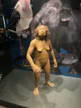 国立科学博物館に投稿された画像（2026/8/30）