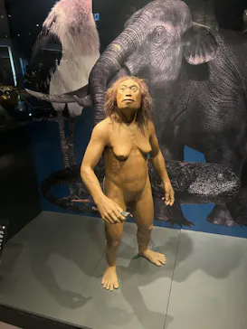 国立科学博物館に投稿された画像（2026/8/30）