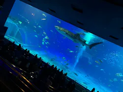 沖縄美ら海水族館に投稿された画像（2026/8/30）