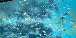 沖縄美ら海水族館に投稿された画像（2026/8/30）