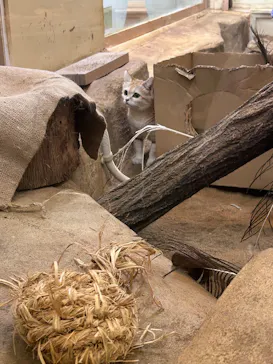 こども動物自然公園（埼玉県公園緑地協会）に投稿された画像（2026/8/30）