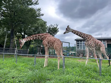 こども動物自然公園（埼玉県公園緑地協会）に投稿された画像（2026/8/30）
