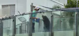 サンシャイン水族館に投稿された画像（2026/8/30）