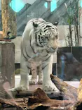 NIFREL（ニフレル）に投稿された画像（2026/8/30）
