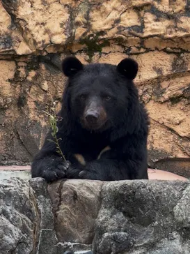 多摩動物公園に投稿された画像（2026/8/30）