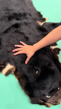 多摩動物公園に投稿された画像（2026/8/30）