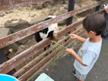 伊豆シャボテン動物公園に投稿された画像（2026/8/30）