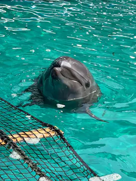 ゼロ距離水族館 伊勢シーパラダイスに投稿された画像（2026/8/30）