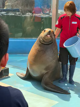 ゼロ距離水族館 伊勢シーパラダイスに投稿された画像（2026/8/30）