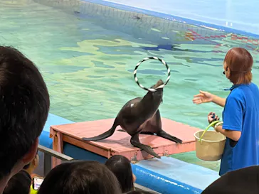 ゼロ距離水族館 伊勢シーパラダイスに投稿された画像（2026/8/30）