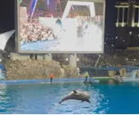 名古屋港水族館に投稿された画像（2026/8/30）