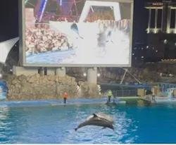名古屋港水族館に投稿された画像（2026/8/30）
