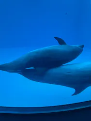 名古屋港水族館に投稿された画像（2026/8/30）