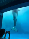 名古屋港水族館に投稿された画像（2026/8/30）
