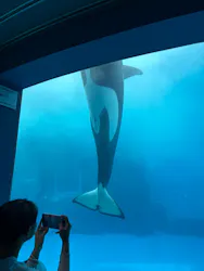 名古屋港水族館に投稿された画像（2026/8/30）