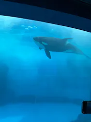 名古屋港水族館に投稿された画像（2026/8/30）
