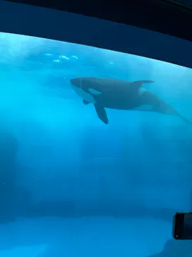 名古屋港水族館に投稿された画像（2026/8/30）