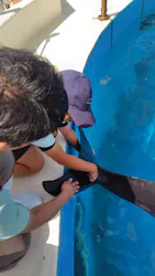 沖縄美ら海水族館（館内体験）に投稿された画像（2026/8/30）