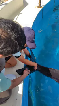 沖縄美ら海水族館（館内体験）に投稿された画像（2026/8/30）