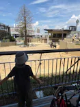 天王寺動物園に投稿された画像（2026/8/31）