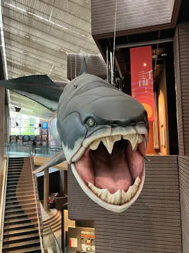 ミュージアムパーク茨城県自然博物館に投稿された画像（2026/8/30）