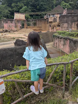 多摩動物公園に投稿された画像（2026/8/30）