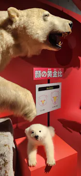 特別展「いきもの超ワールド展　国立科学博物館×ダーウィンが来た！」（国立科学博物館）に投稿された画像（2026/8/30）